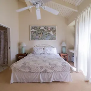 https://bird-of-paradise-condo.hotelsinhawaii.org